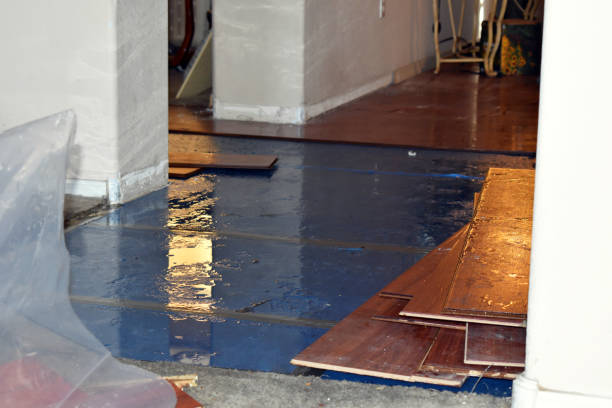 Professional Basement Water Removal technician working in Clinton, MI