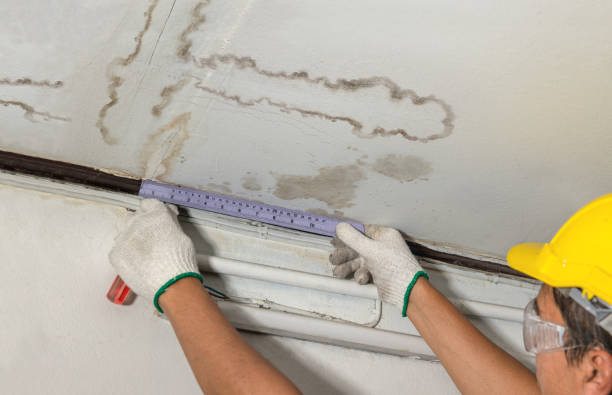 Reliable Basement Water Removal contractor in Clinton, MI by Water Damage Irwin